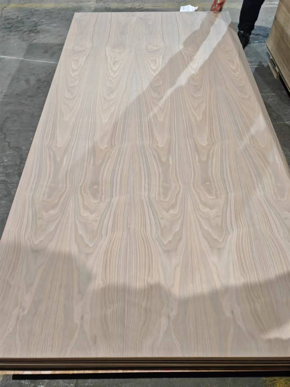 Birch Plywood, Construction-grade Quality, Poplar, CE Standard, Multiple Thicknesses: 9mm, 12mm, 15mm, 18mm suppliers
